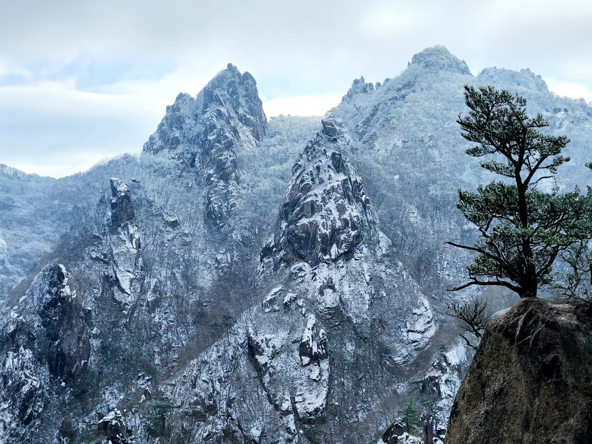 Snow-covered mountain trail capturing the quiet beauty of winter hiking in Korea