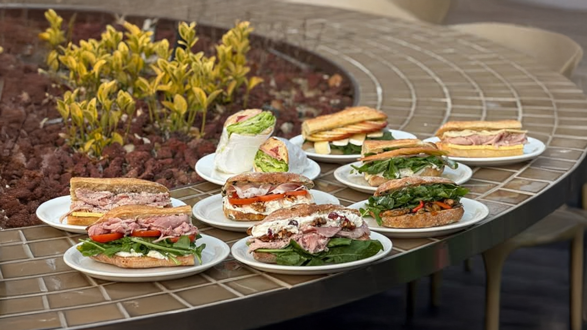 Assortment of chewy cookies displayed at Choco Mellow