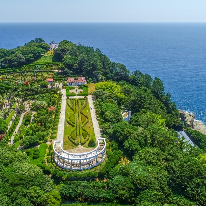 Winter coastal walking path with blue waves and green rocks on Geoje Island