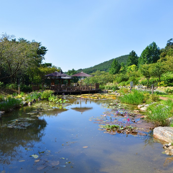 Free admission Samseonsan Arboretum entrance and parking in Dangjin