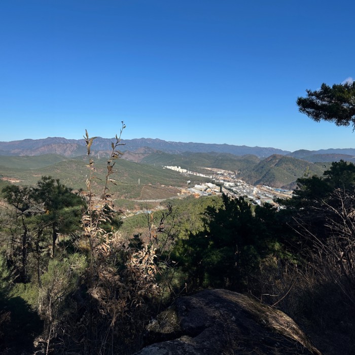 Winter hiking scenery on Hamji Mountain with bare trees and quiet trails