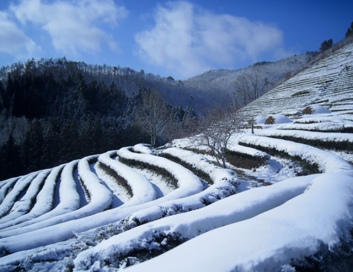Top 4 Beautiful Winter Travel Destinations in Korea float
