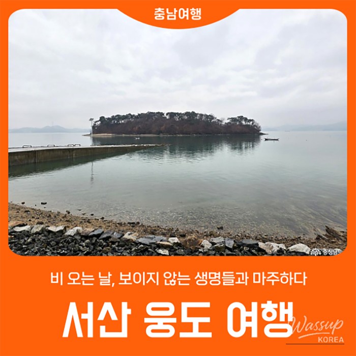 A serene view of Garolim Bay on a rainy day with soft mist and tranquil water