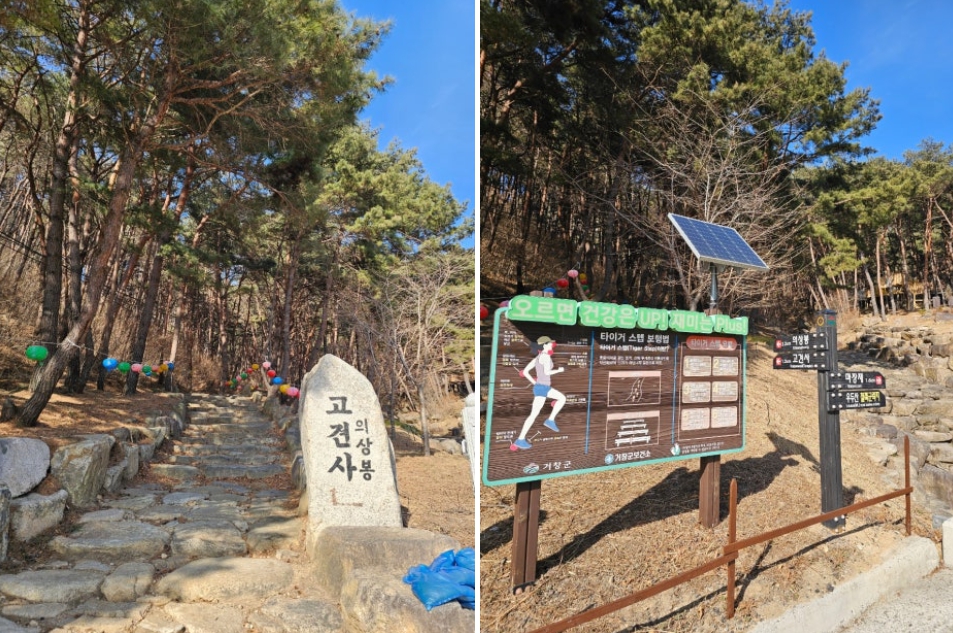 Children enjoying the forest experience area at Gochang Anti-Aging Healing Land.