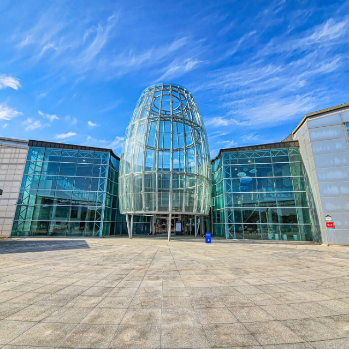 Revitalized Jincheon Bell Museum: A Must-Visit Experience3155