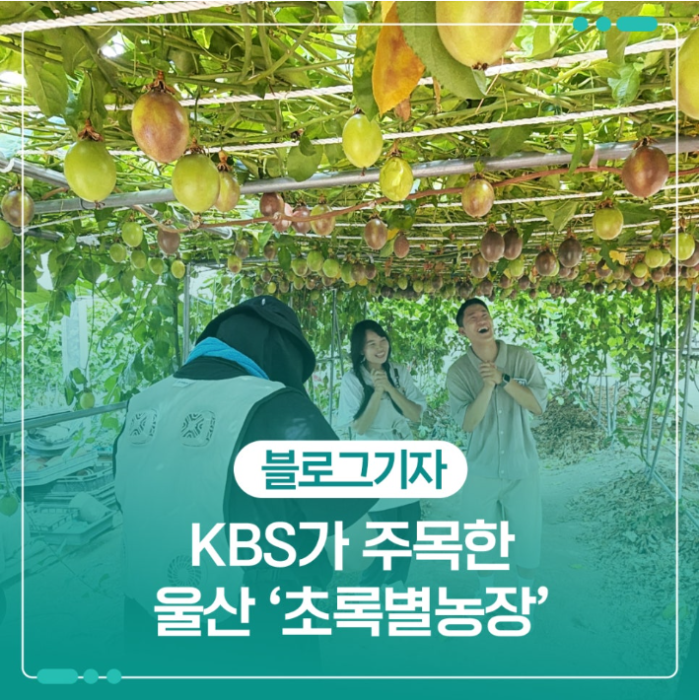 The Journey of Passion Fruit Farming and Healing Agriculture
